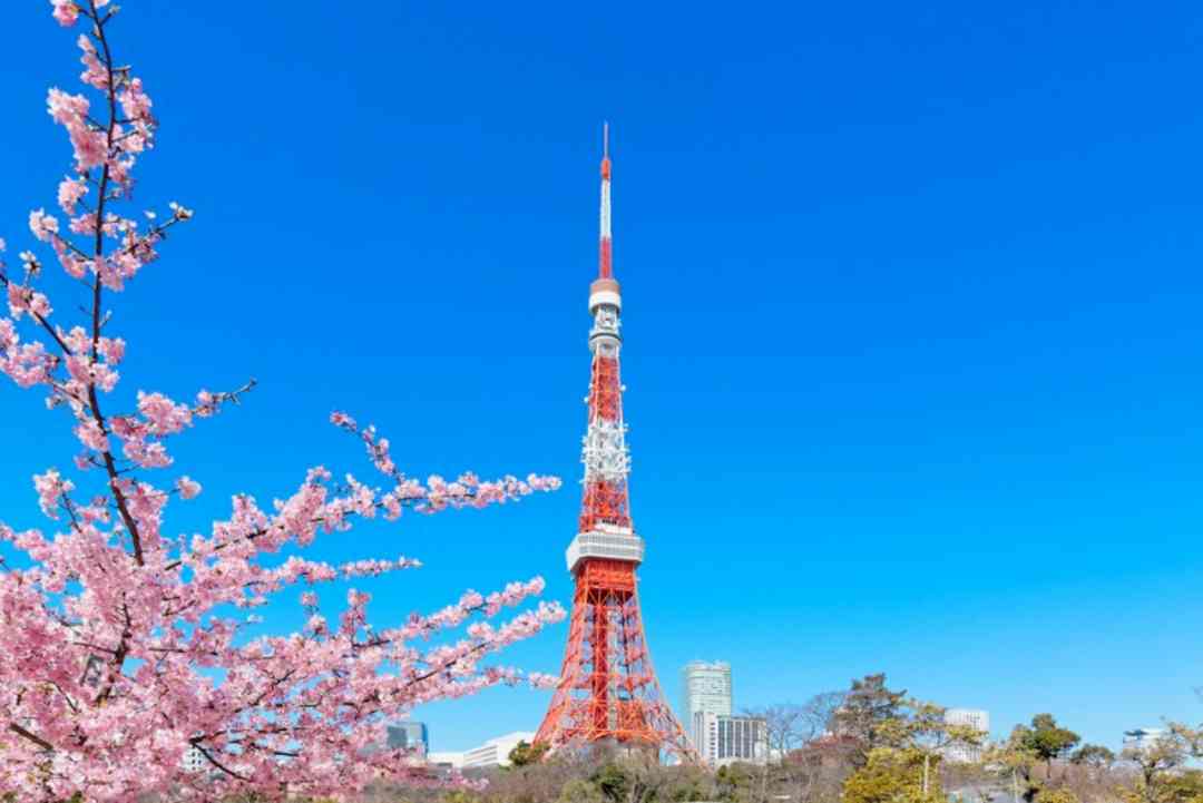 Dịch vụ du lịch không thể bỏ qua tại tháp Tokyo